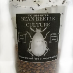 Live Feeder Insects Tcinsects