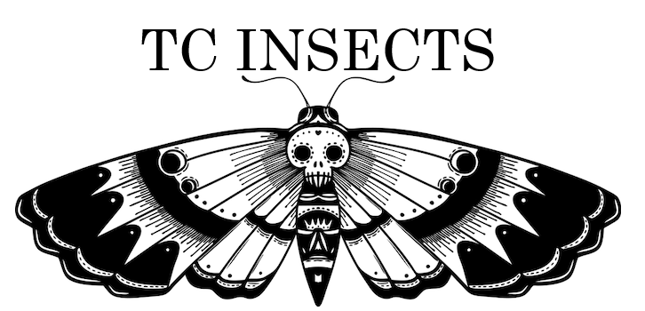 TC INSECTS