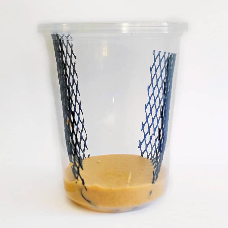 Hornworm Cups 32oz Food Included TC INSECTS