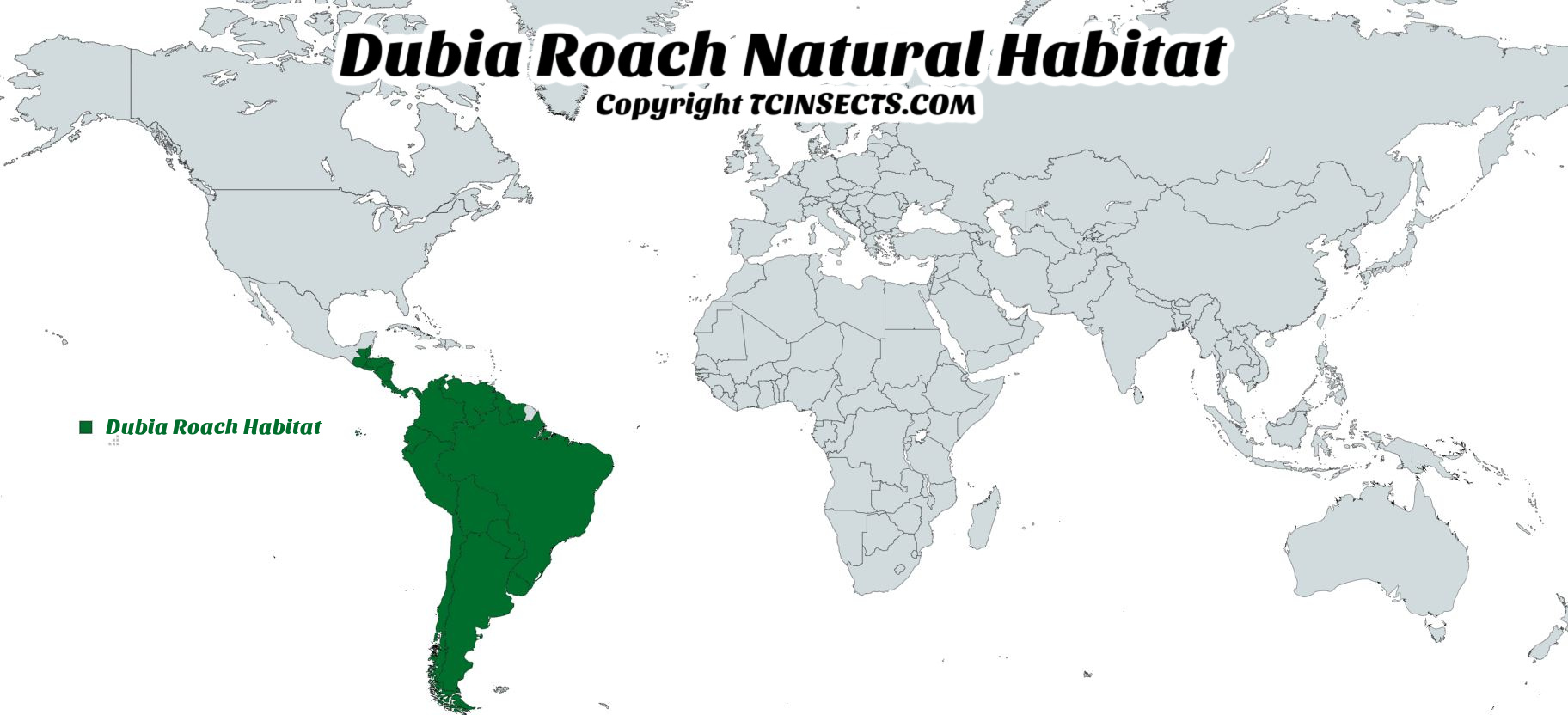 Dubia Roach Natural Habitat