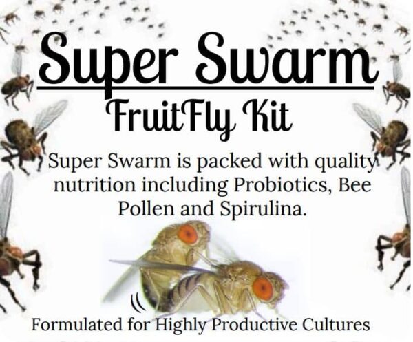 Buy Fruit Fly Culture Kit For Sale