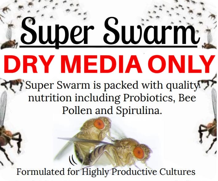 Buy Fruit Fly Media Food For Sale