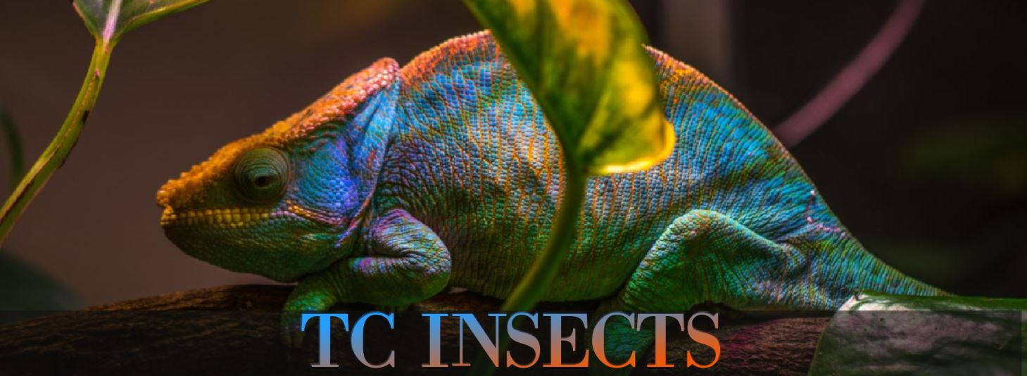 TC INSECTS