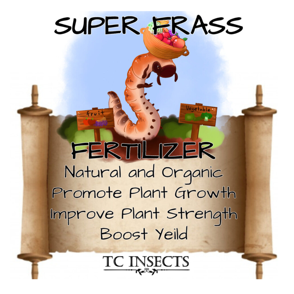 Mealworm Worm Frass For Sale Fast Shipping