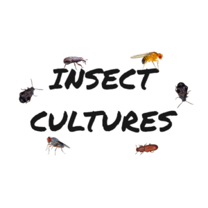Insect Cultures