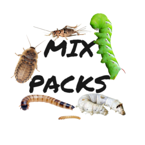 Feeder Insect Mix Packs